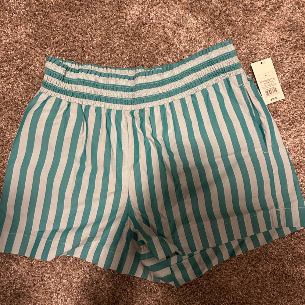 Turquoise Blue Striped Shorts, L